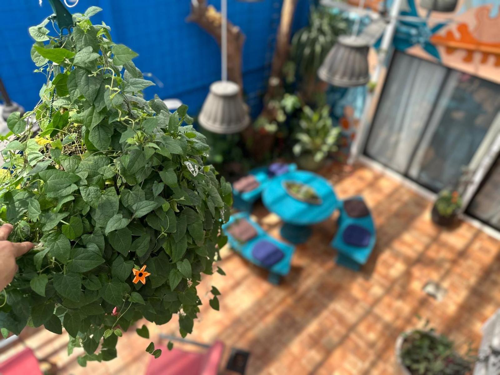 Jungla Urbana, Bnb Pavas 외부 사진