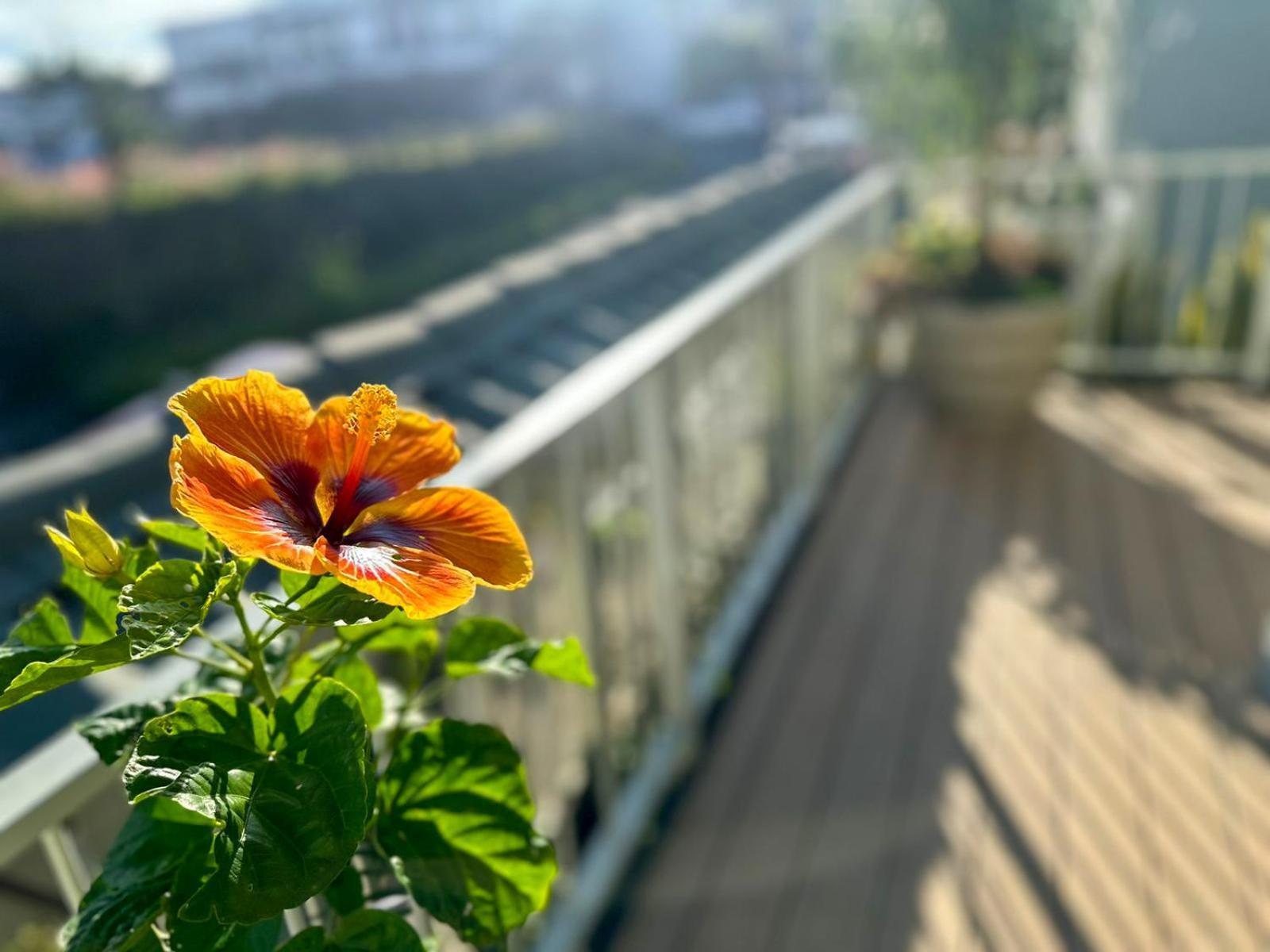 Jungla Urbana, Bnb Pavas 외부 사진