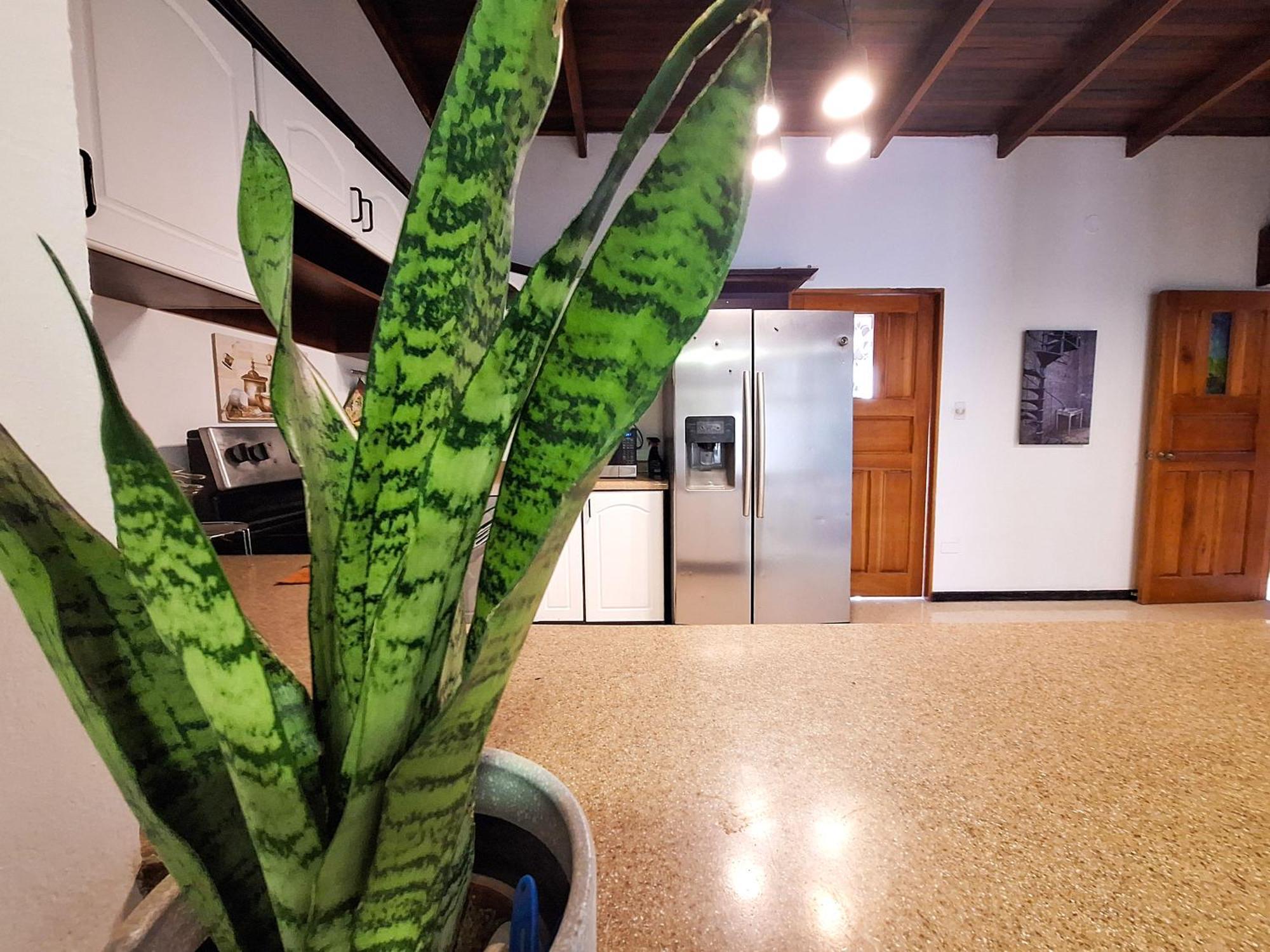 Jungla Urbana, Bnb Pavas 외부 사진